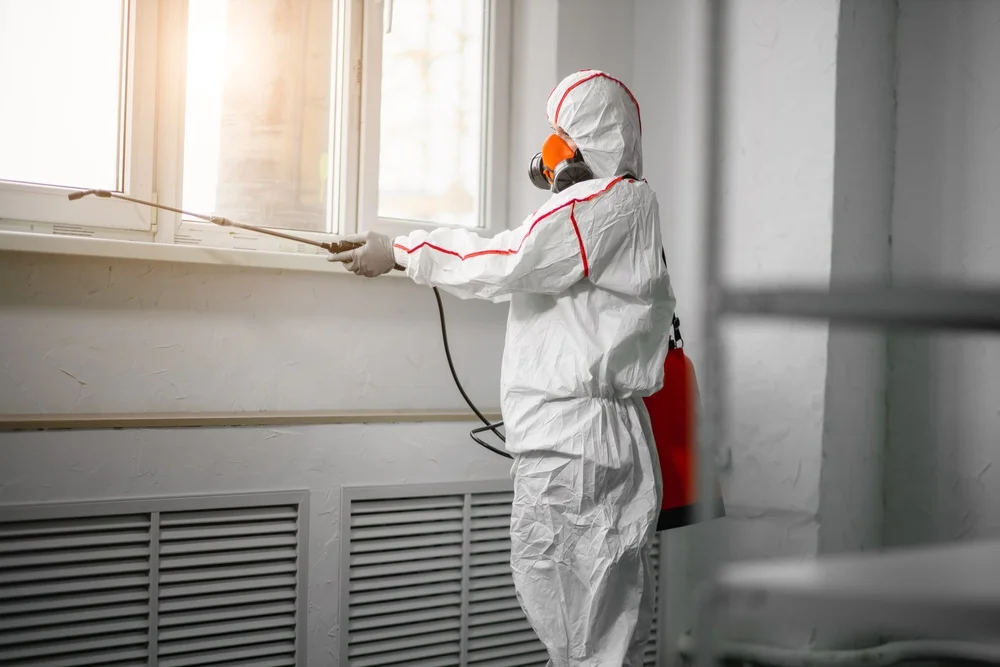 Professional mold remediation services in Fielding, UT